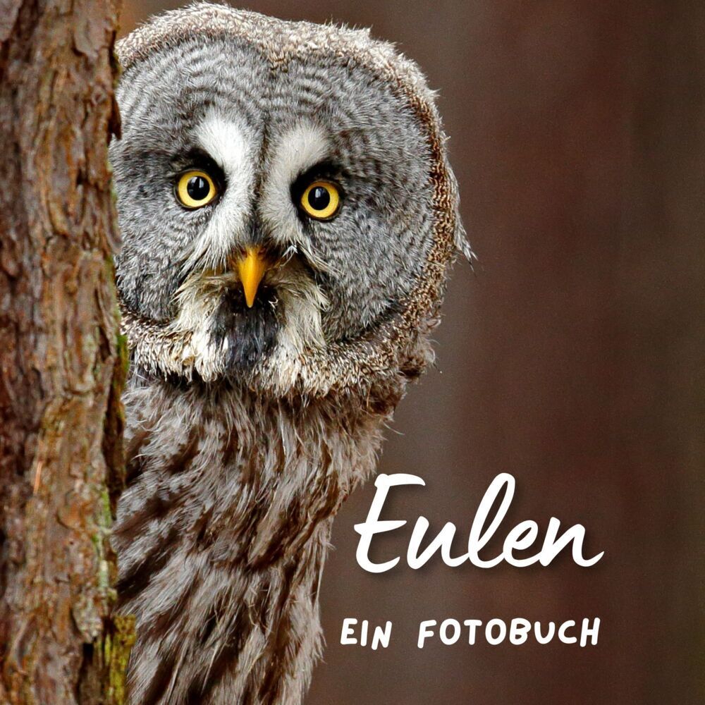 Cover: 9783750518308 | Eulen | Ein Fotobuch. Das perfekte Geschenk | Bibi Hübsch | Buch