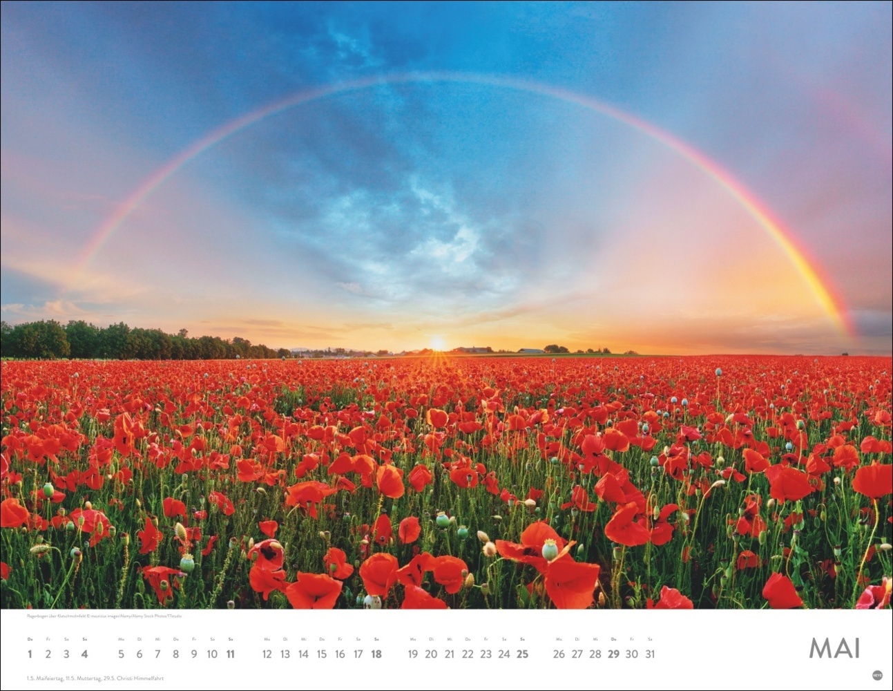 Bild: 9783756405138 | Regenbogen Posterkalender 2025 | Kalender | Spiralbindung | 14 S.