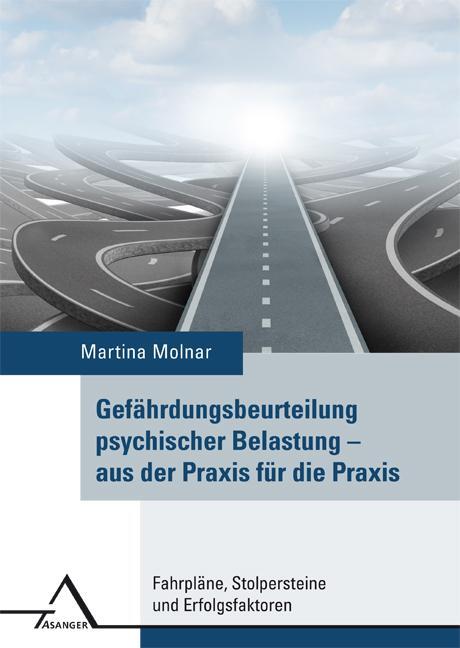 Cover: 9783893346080 | Gefährdungsbeurteilung psychischer Belastung  aus der Praxis für...