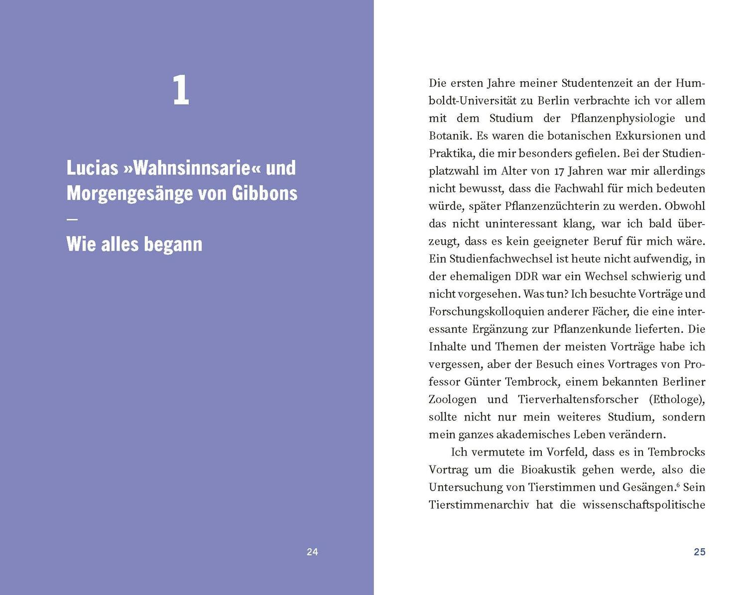 Bild: 9783222151224 | Babygesänge | Wie aus Weinen Sprache wird | Kathleen Wermke | Buch