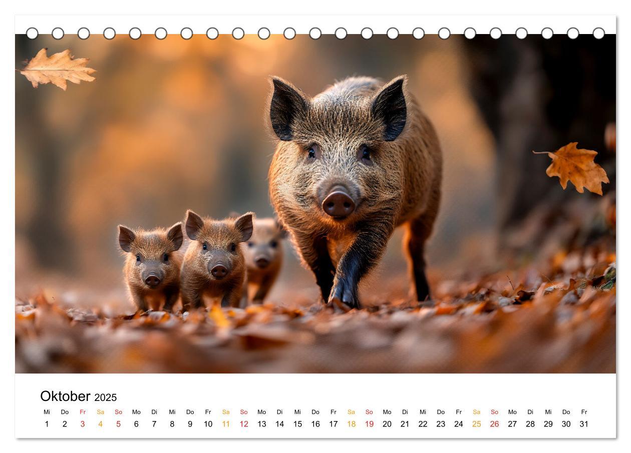 Bild: 9783457212998 | Wilde Tierwelt im Wald (Tischkalender 2025 DIN A5 quer), CALVENDO...