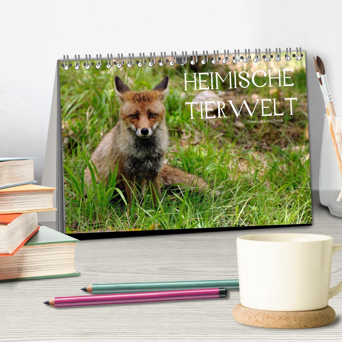 Bild: 9783435679072 | Heimische Tierwelt (Tischkalender 2025 DIN A5 quer), CALVENDO...