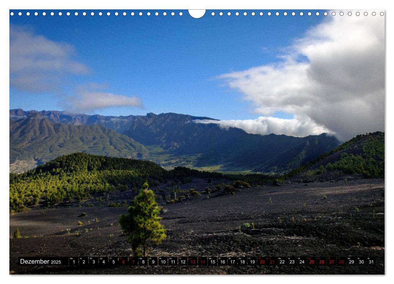 Bild: 9783435328017 | Natur pur erleben auf La Palma (Wandkalender 2025 DIN A3 quer),...