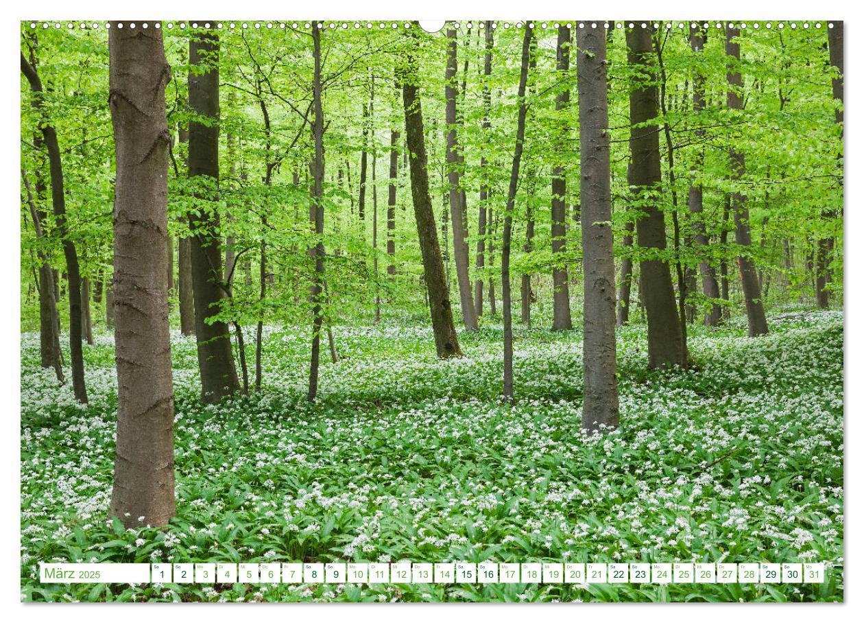 Bild: 9783435138821 | Eifel Sehnsucht (Wandkalender 2025 DIN A2 quer), CALVENDO...