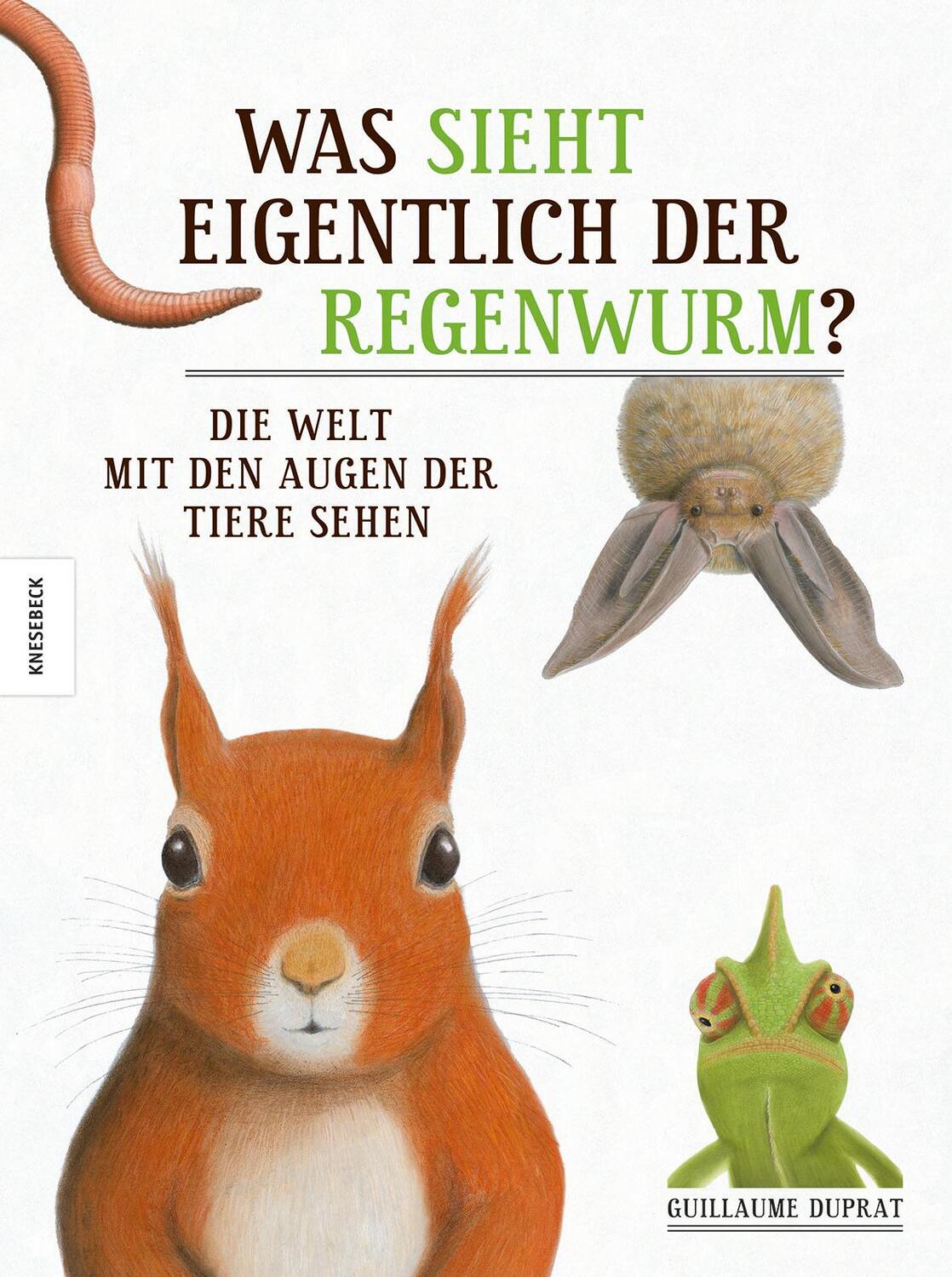 Cover: 9783868736823 | Was sieht eigentlich der Regenwurm? | Guillaume Duprat | Buch | 2014