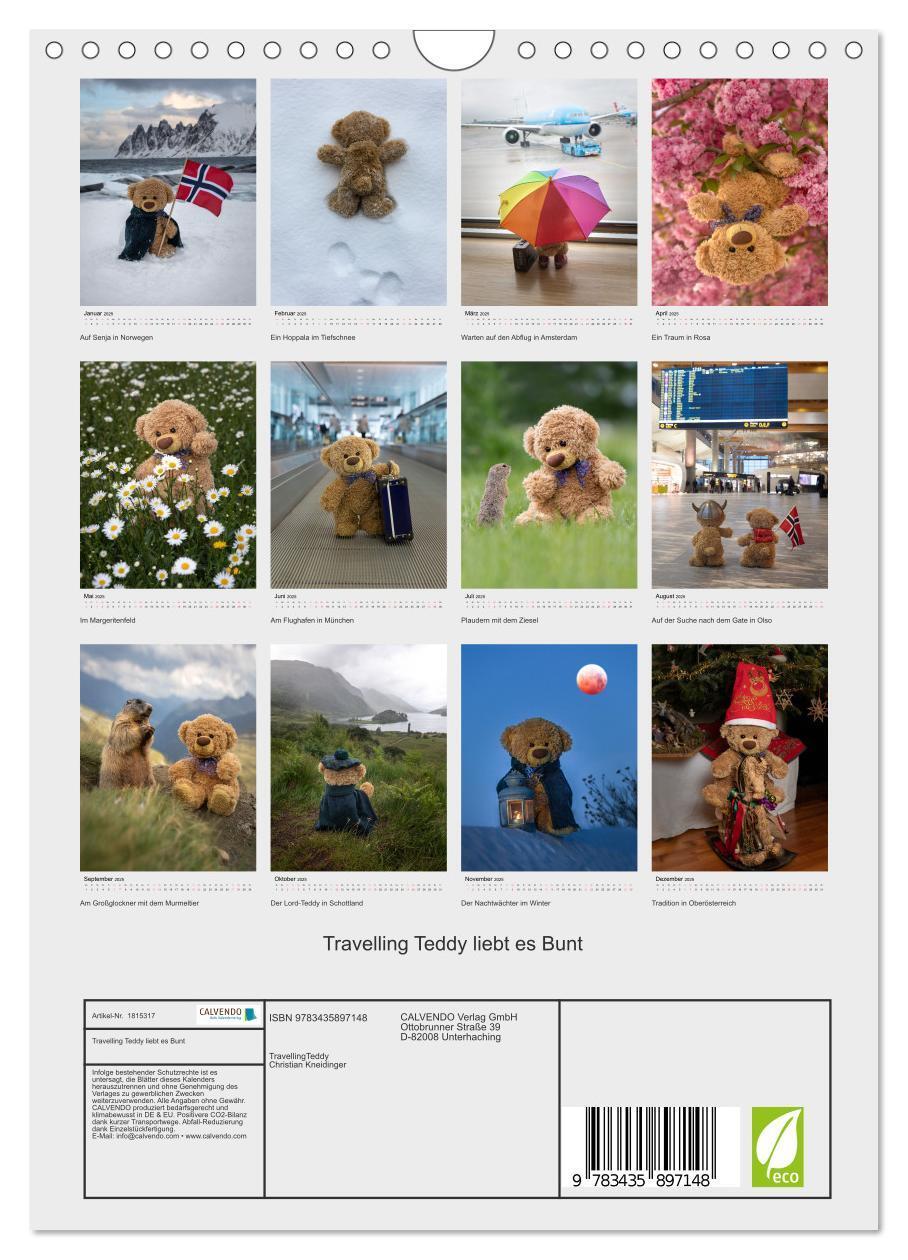 Bild: 9783435897148 | Travelling Teddy liebt es Bunt (Wandkalender 2025 DIN A4 hoch),...