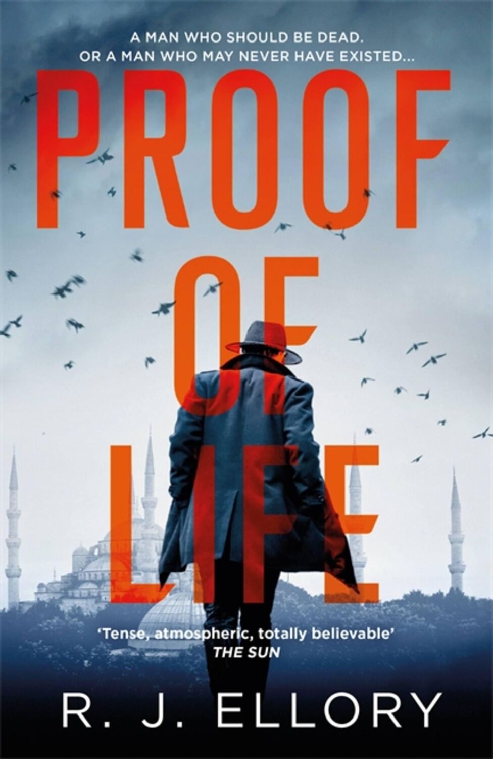 Cover: 9781409198574 | Proof of Life | R.J. Ellory | Taschenbuch | Kartoniert / Broschiert