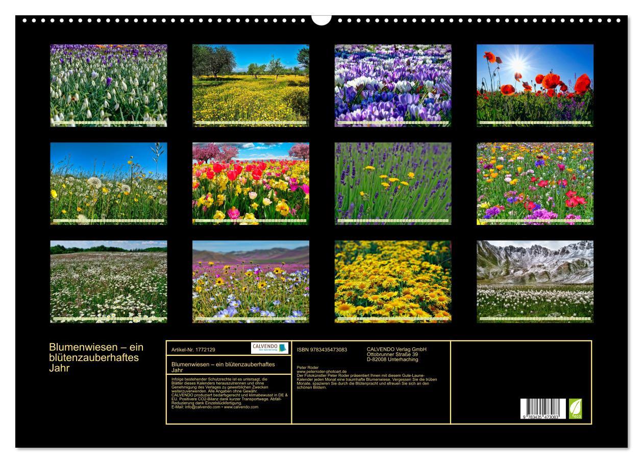 Bild: 9783435473083 | Blumenwiesen ¿ ein blütenzauberhaftes Jahr (Wandkalender 2025 DIN...