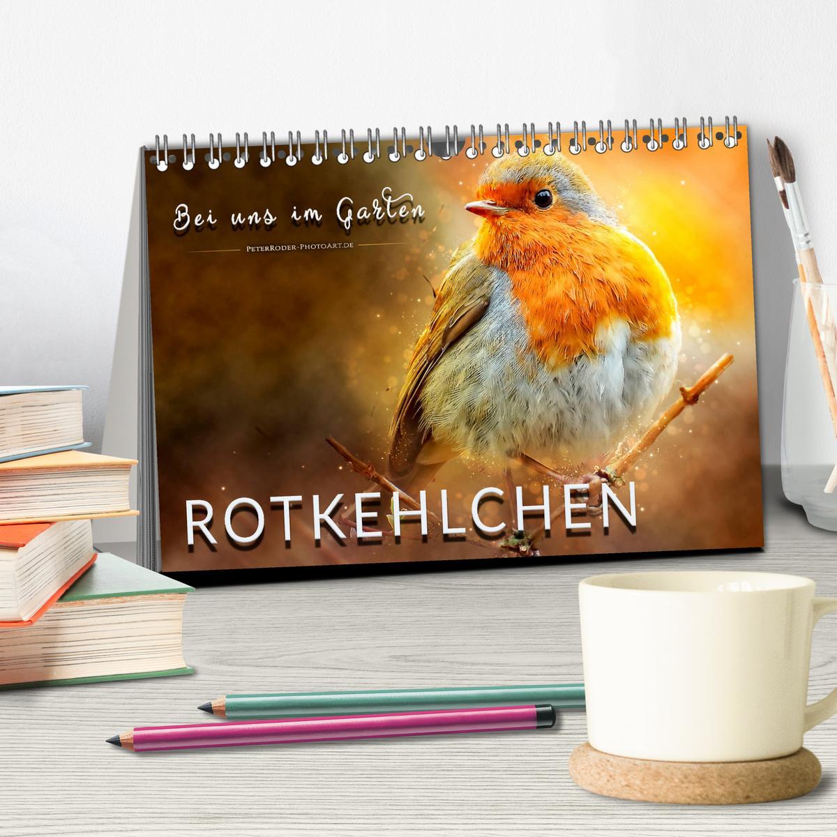 Bild: 9783435332724 | Bei uns im Garten - Rotkehlchen (Tischkalender 2025 DIN A5 quer),...