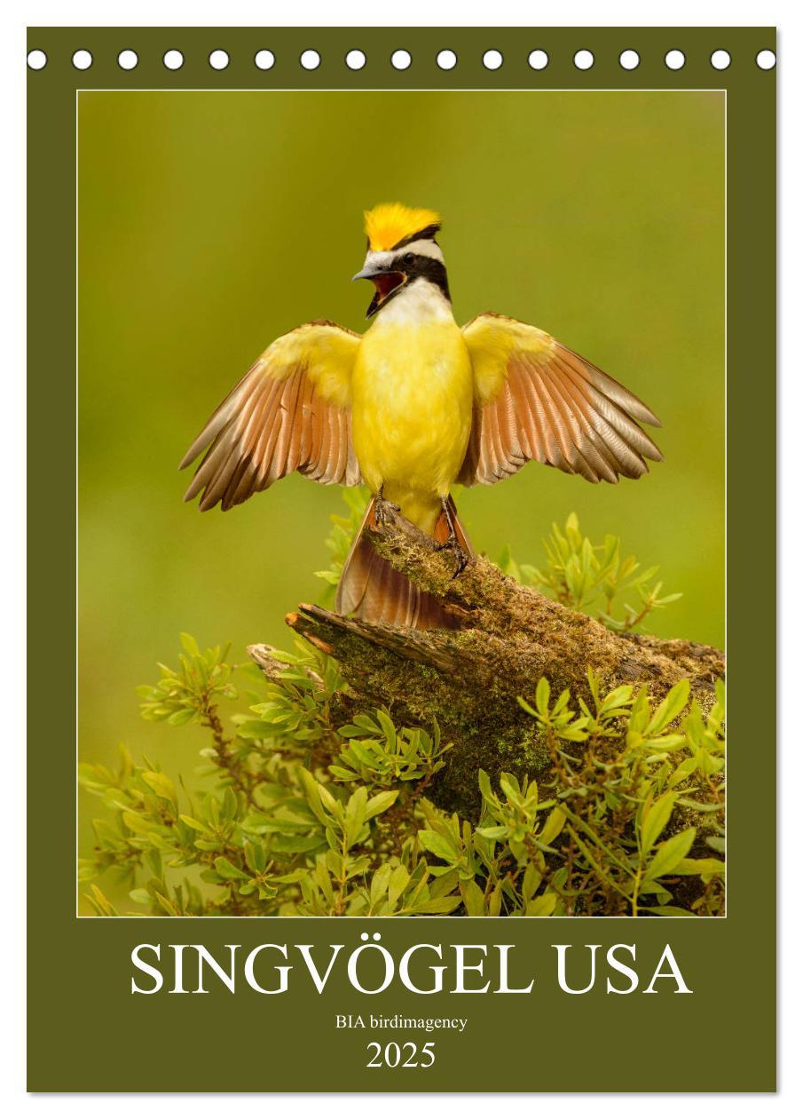 Cover: 9783435986446 | Singvögel USA (Tischkalender 2025 DIN A5 hoch), CALVENDO...