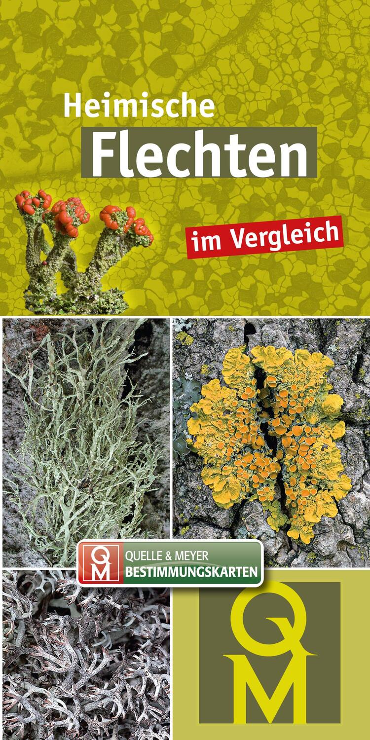 Cover: 9783494019482 | 10er-Set: Heimische Flechten im Vergleich | Quelle &amp; Meyer Verlag