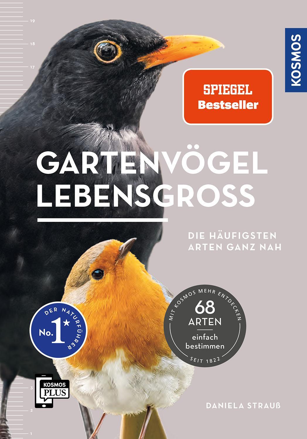 Cover: 9783440178614 | Gartenvögel lebensgroß | Daniela Strauß | Taschenbuch | 128 S. | 2024