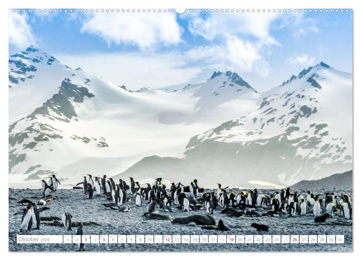 Bild: 9783435801572 | Antarktis - Das Reich der Pinguine (Wandkalender 2025 DIN A2 quer),...