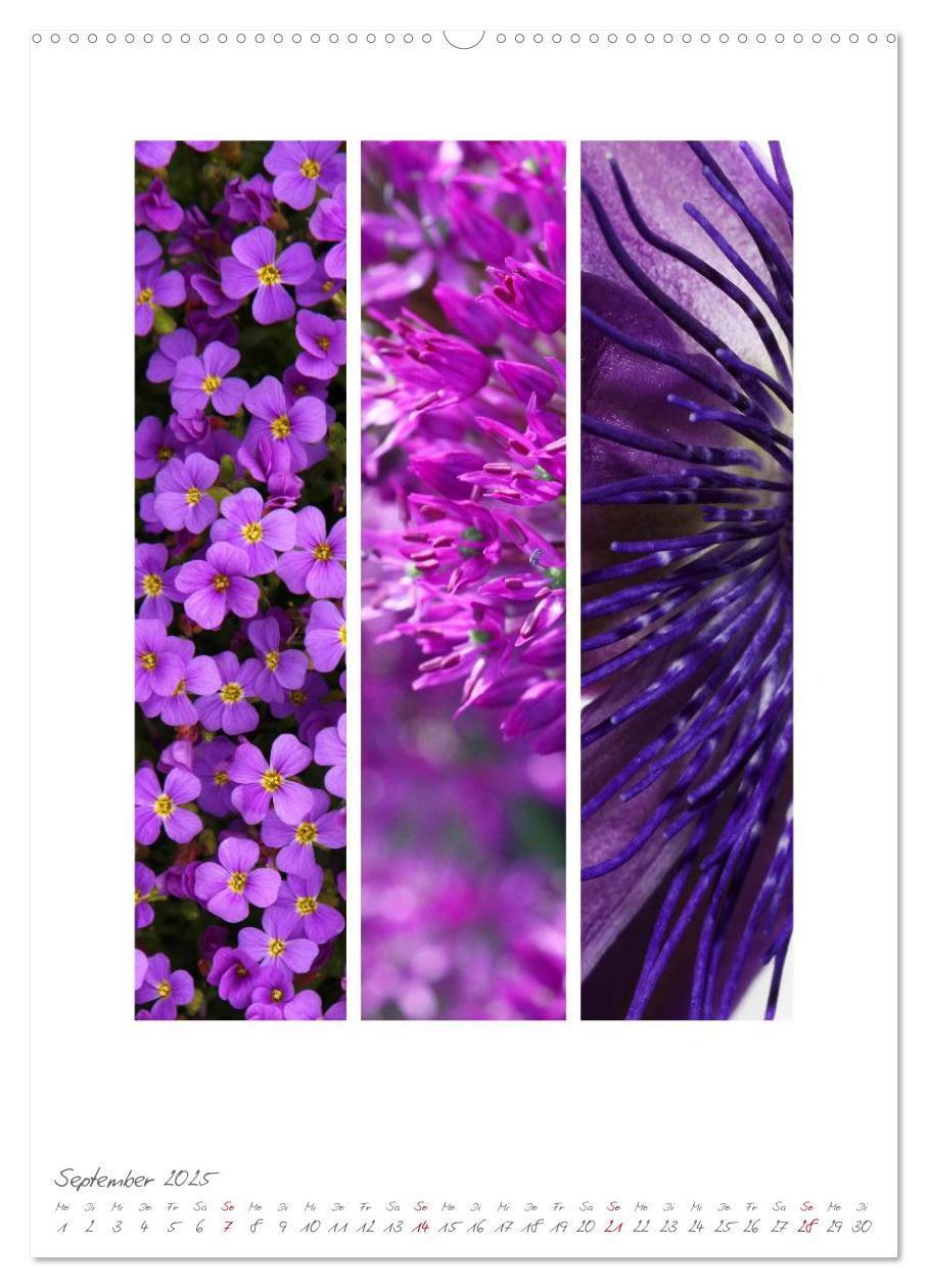 Bild: 9783457046609 | Natur Farben Dreiklang (Wandkalender 2025 DIN A2 hoch), CALVENDO...