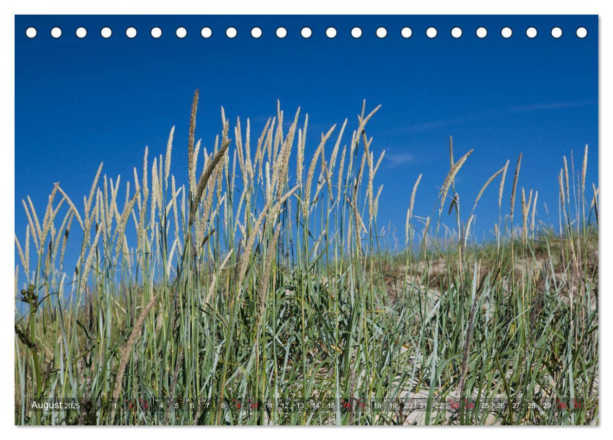 Bild: 9783435426850 | Sankt Peter-Ording. Sonne - Strand - Meer (Tischkalender 2025 DIN...