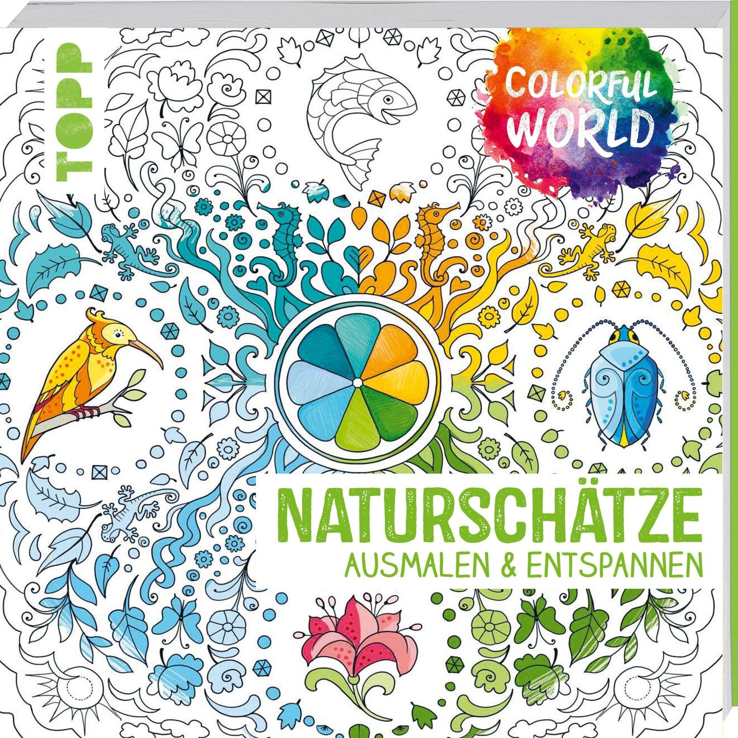 Cover: 9783772447341 | Colorful World - Naturschätze | Ausmalen &amp; entspannen | Taschenbuch