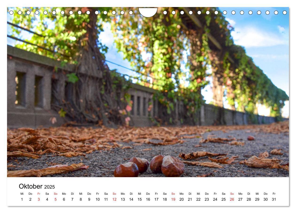 Bild: 9783435291274 | Kassel - Impressionen (Wandkalender 2025 DIN A4 quer), CALVENDO...