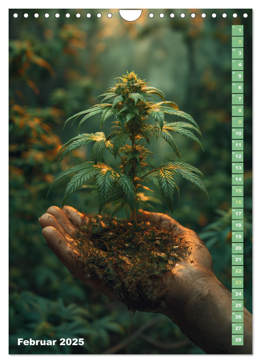 Bild: 9783383764660 | Rauschende Aussichten - Der ultimative Cannabis-Kalender...