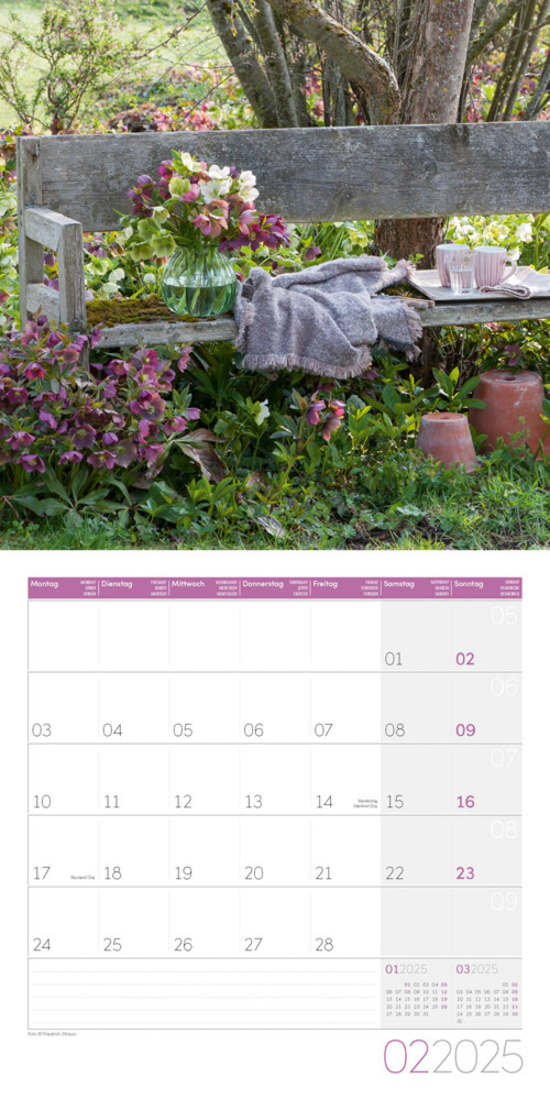 Bild: 9783838445304 | In meinem Garten Kalender 2025 - 30x30 | Ackermann Kunstverlag | 28 S.