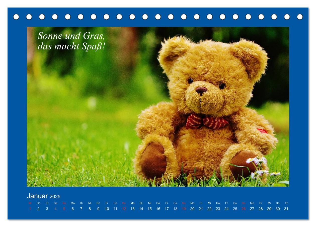 Bild: 9783435593972 | Sommer im Teddy-Land. Bär und Freunde (Tischkalender 2025 DIN A5...