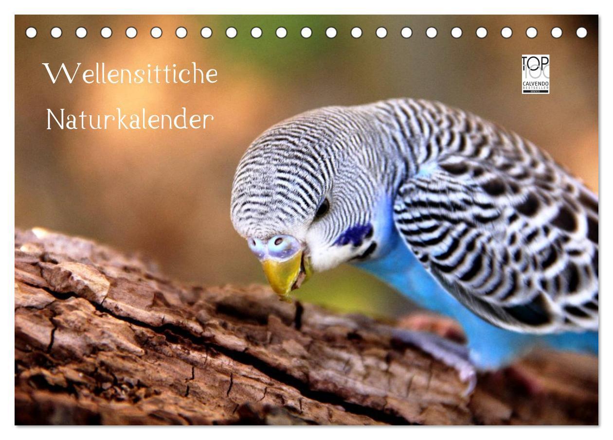 Cover: 9783435812158 | Wellensittiche - Naturkalender (Tischkalender 2025 DIN A5 quer),...