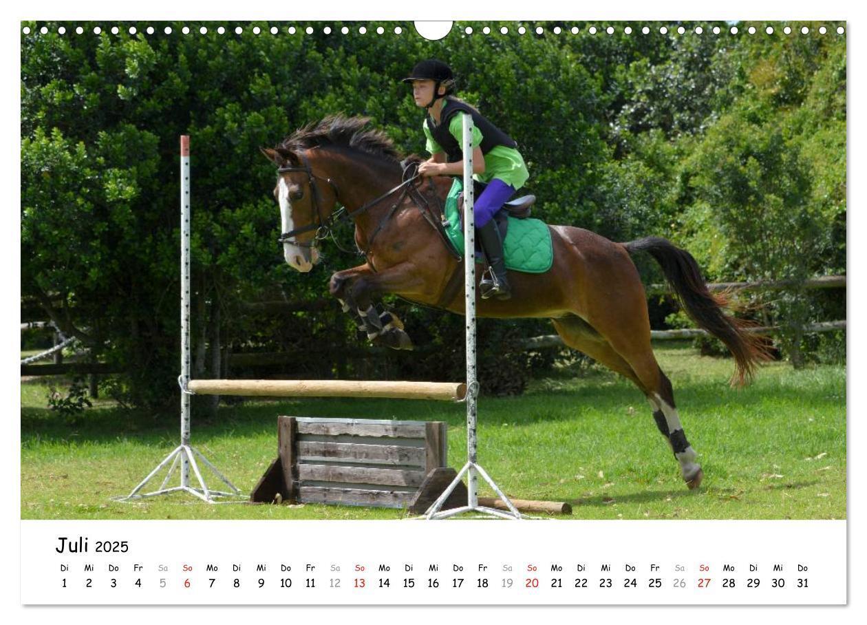 Bild: 9783435606481 | Pony Springreiten (Wandkalender 2025 DIN A3 quer), CALVENDO...