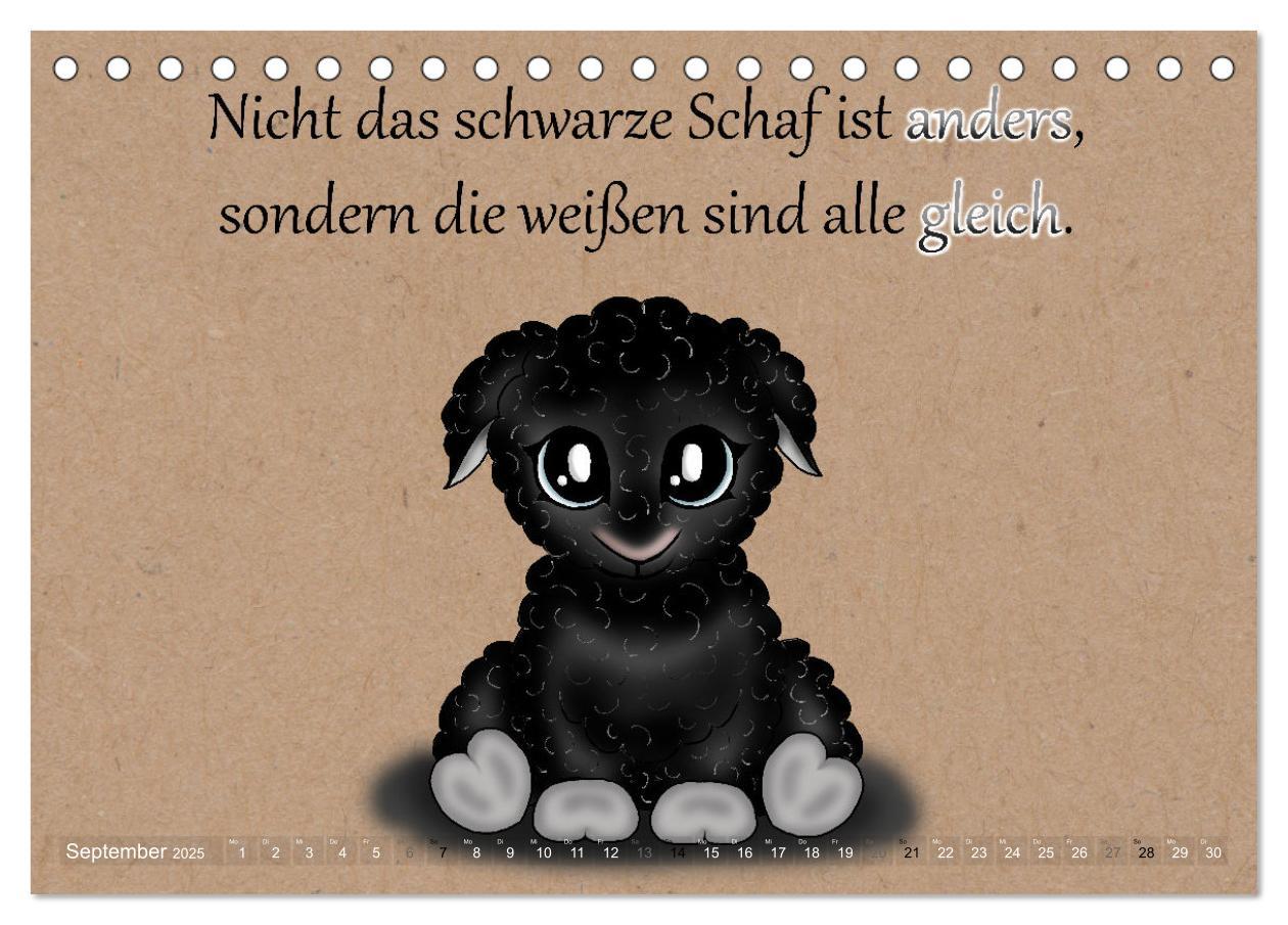 Bild: 9783435049929 | Motiviert durchs Leben (Tischkalender 2025 DIN A5 quer), CALVENDO...