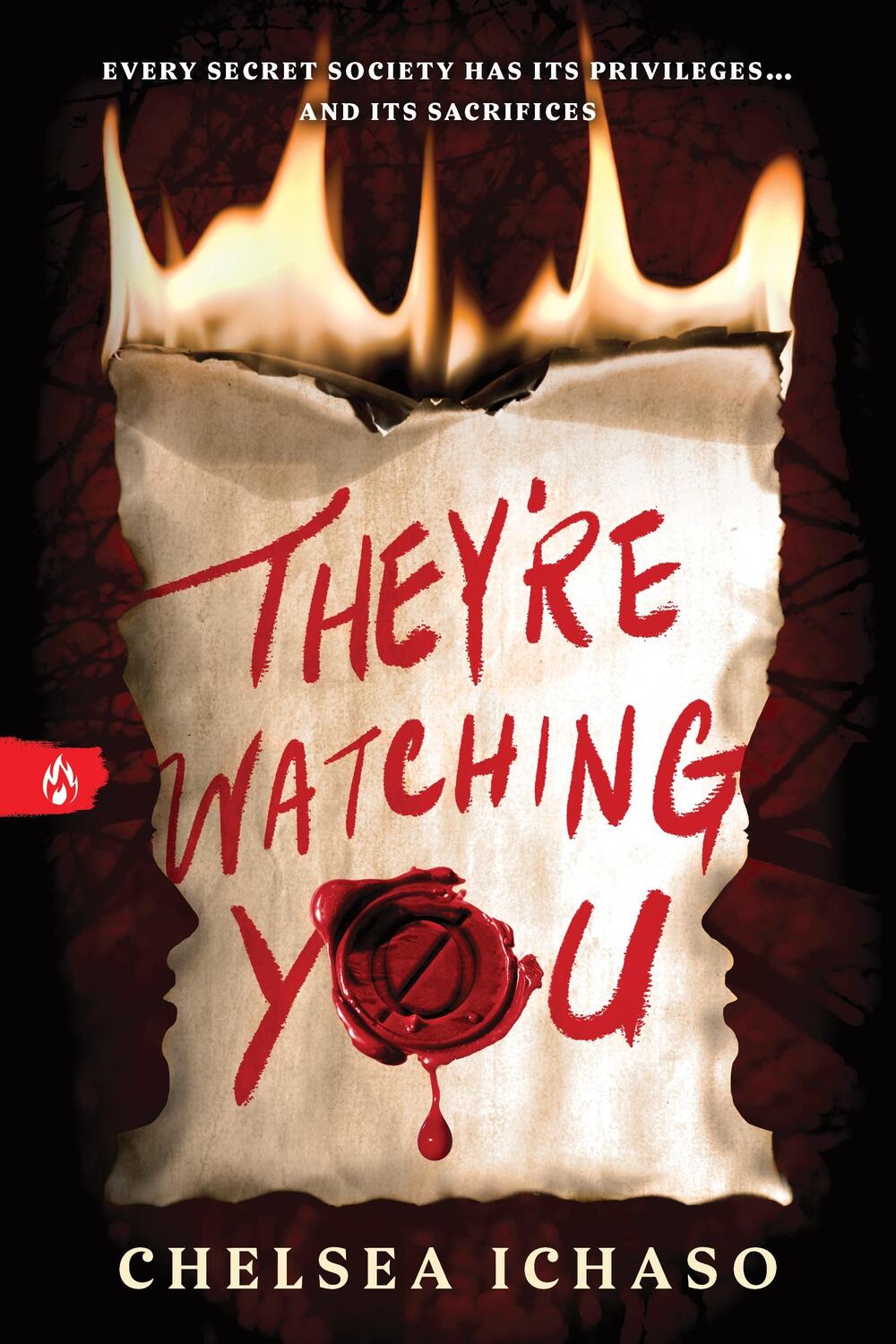 Cover: 9781728251066 | They're Watching You | Chelsea Ichaso | Taschenbuch | Englisch | 2023