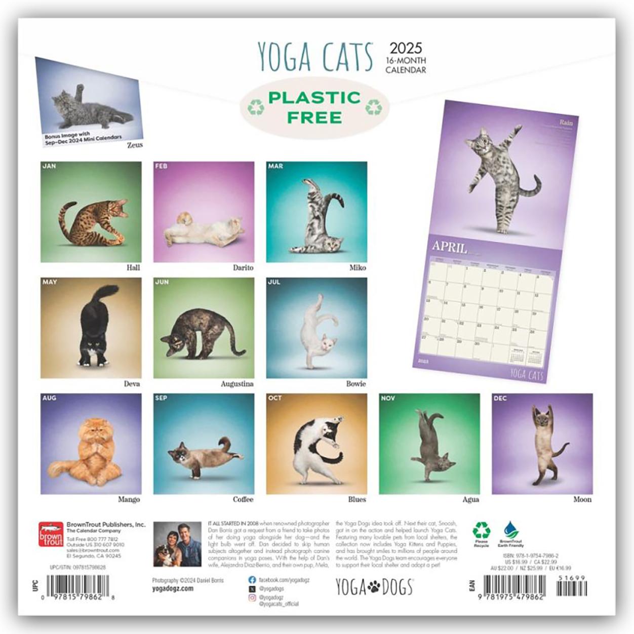 Rückseite: 9781975479862 | Yoga Cats Official 2025 12 X 24 Inch Monthly Square Wall Calendar...