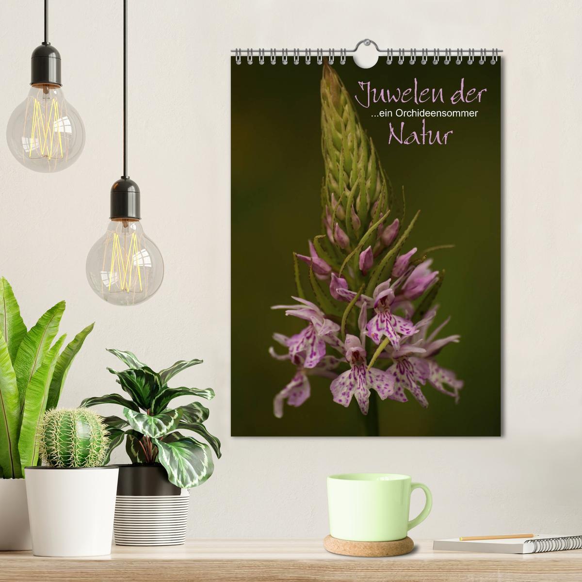 Bild: 9783457007082 | Juwelen der Natur - Ein Orchideensommer (Wandkalender 2025 DIN A4...