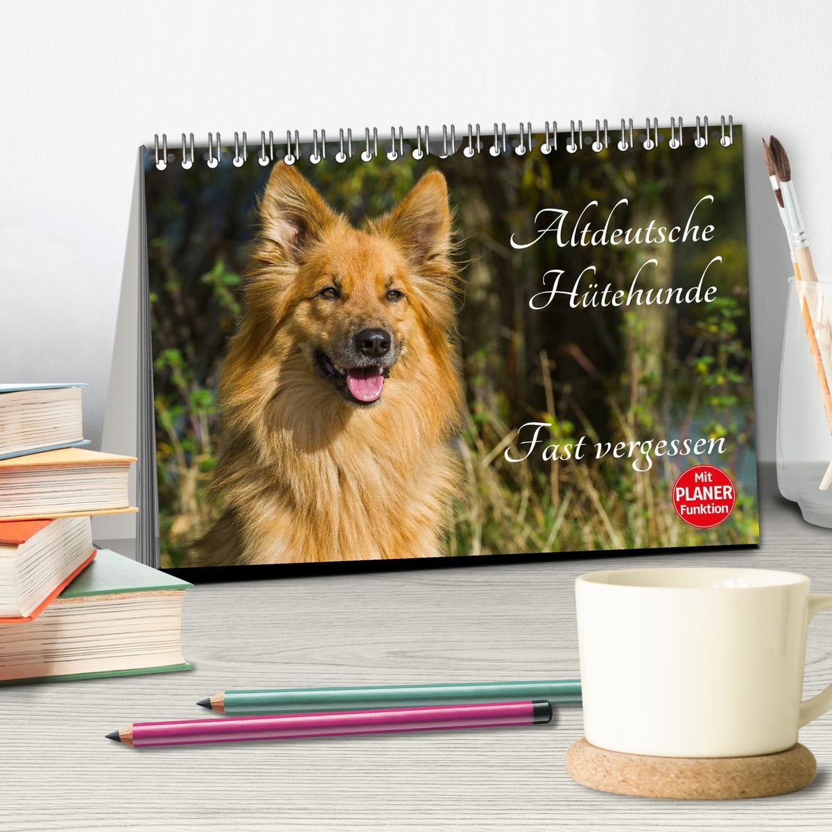 Bild: 9783435540587 | Altdeutsche Hütehunde - Fast vergessen (Tischkalender 2025 DIN A5...