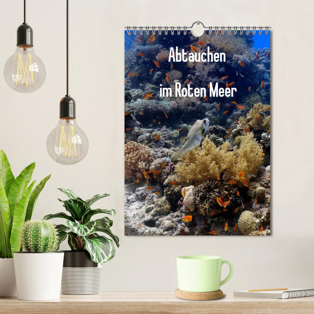 Bild: 9783457030523 | Abtauchen im Roten Meer (Wandkalender 2025 DIN A4 hoch), CALVENDO...