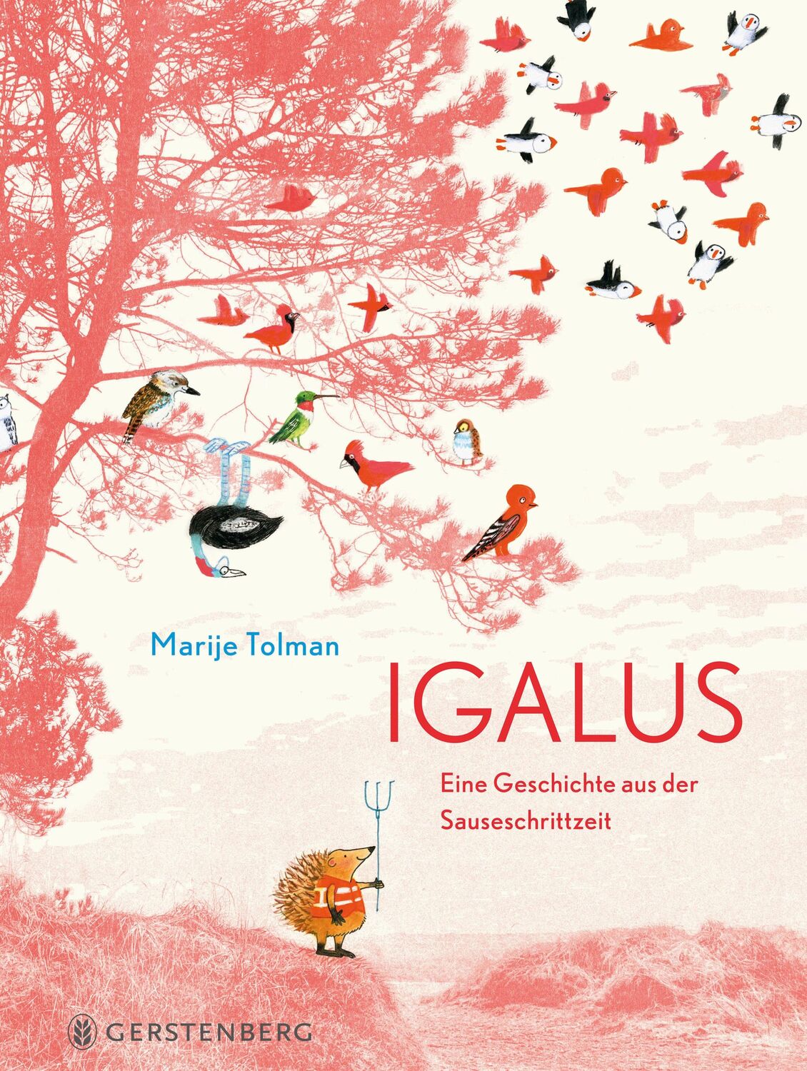 Cover: 9783836962353 | Igalus | Eine Geschichte aus der Sauseschrittzeit | Marije Tolman