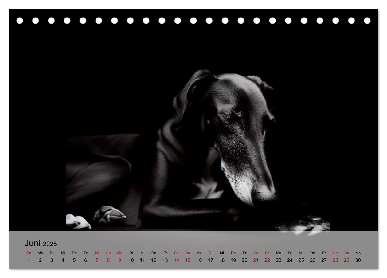 Bild: 9783435012602 | Black is beautiful (Tischkalender 2025 DIN A5 quer), CALVENDO...