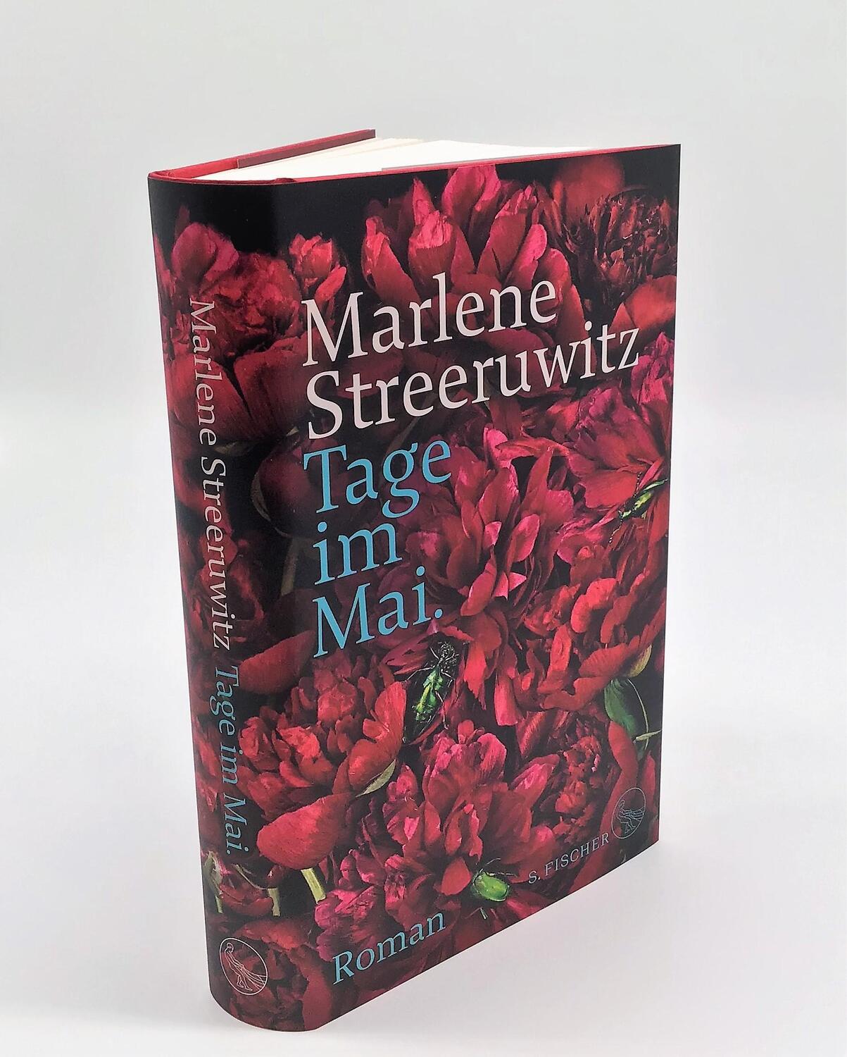 Bild: 9783103973501 | Tage im Mai. | Roman dialogué. | Marlene Streeruwitz | Buch | 381 S.