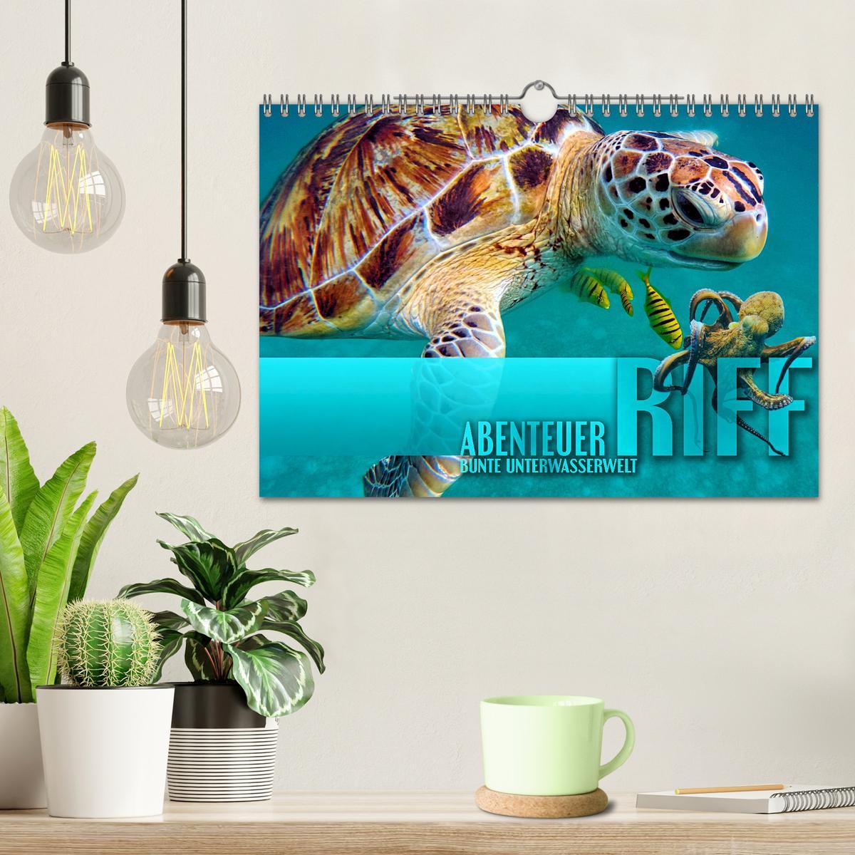 Bild: 9783383984457 | Abenteuer Riff - bunte Unterwasserwelt (Wandkalender 2025 DIN A4...