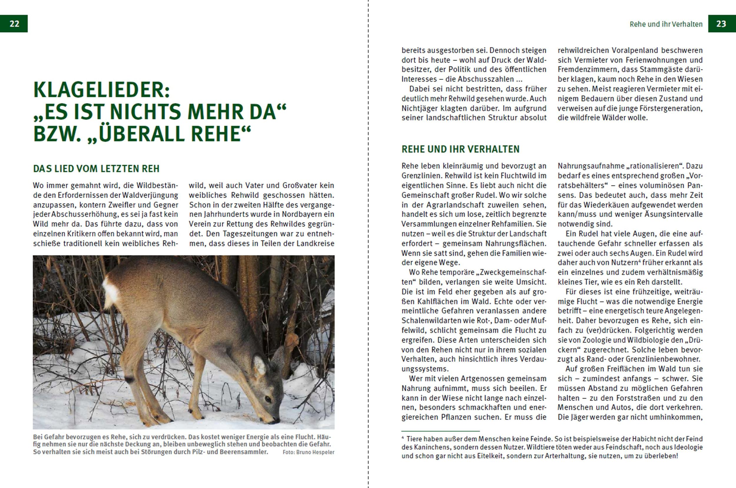 Bild: 9783702022570 | Die Jagd | Was bleibt und was sich ändert | Bruno Hespeler | Buch