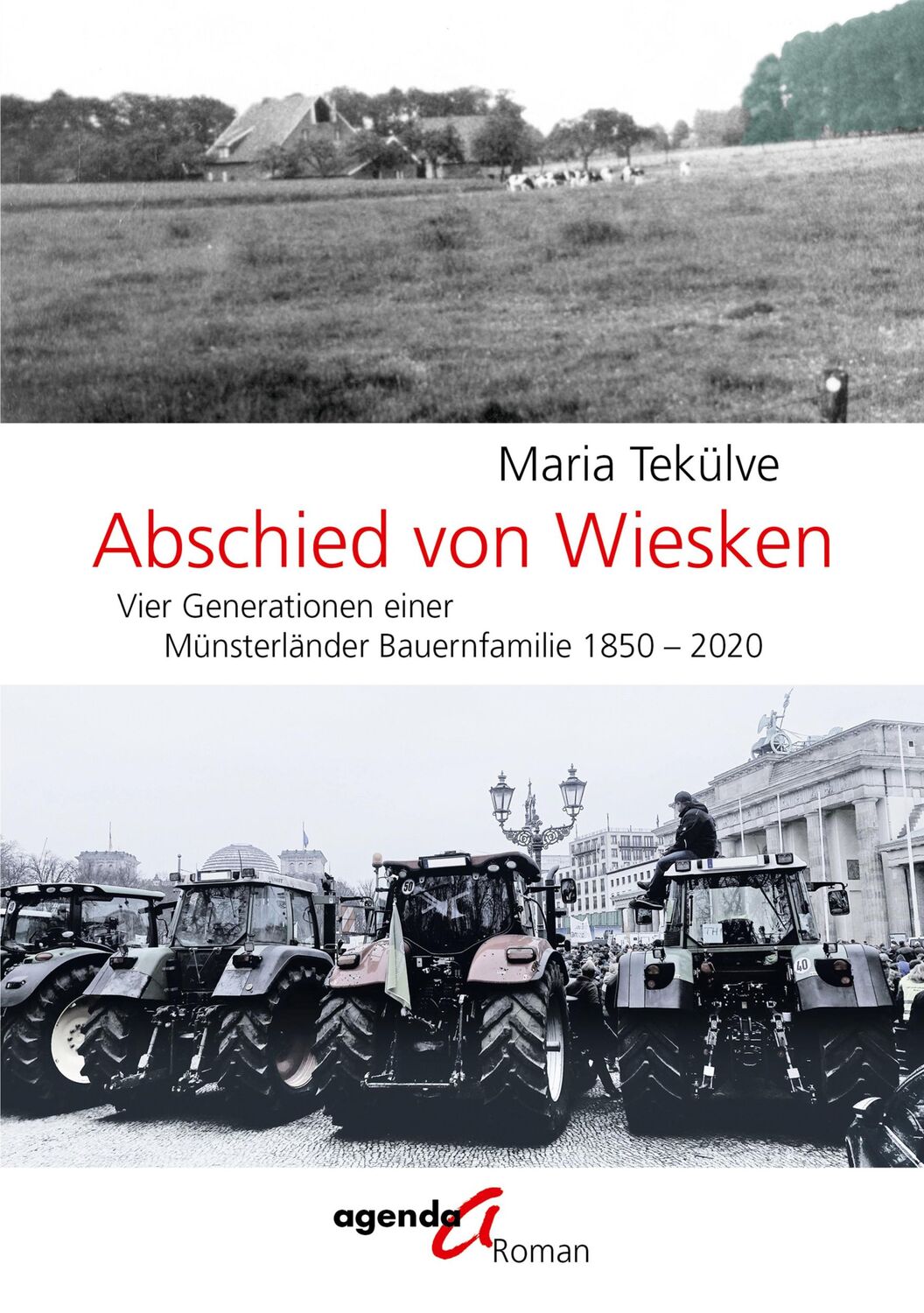 Cover: 9783896888778 | Abschied von Wiesken | Maria Tekülve | Taschenbuch | 520 S. | Deutsch