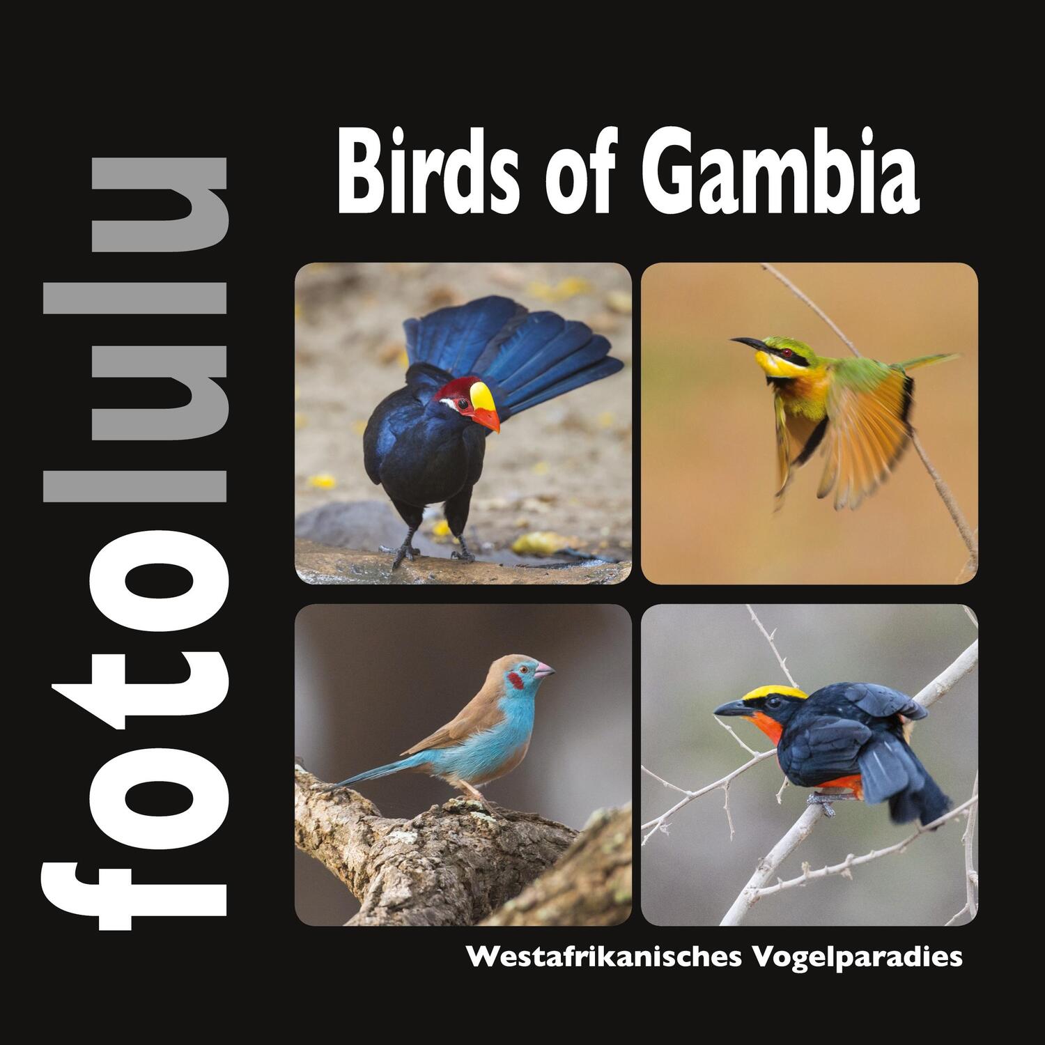 Cover: 9783756226153 | Birds of Gambia | Westafrikanisches Vogelparadies | Sr. Fotolulu