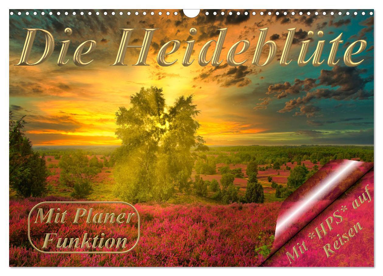 Cover: 9783435091645 | Die Heideblüte (Wandkalender 2025 DIN A3 quer), CALVENDO...