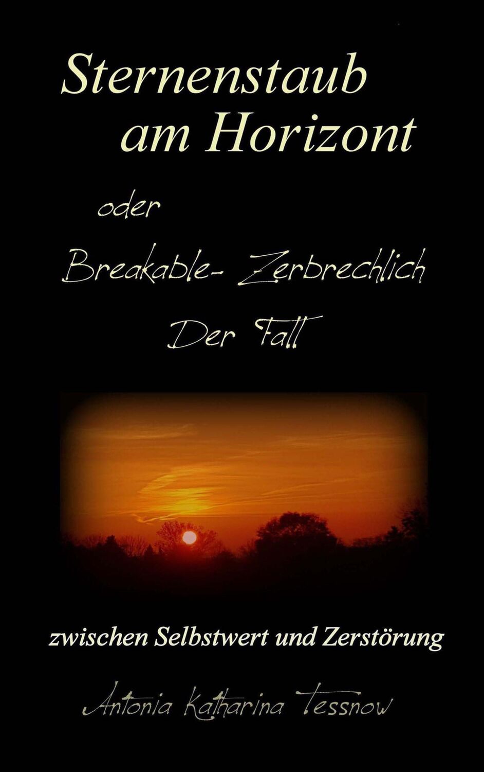 Cover: 9783740747558 | Sternenstaub am Horizont oder Breakable - Zerbrechlich: Der Fall