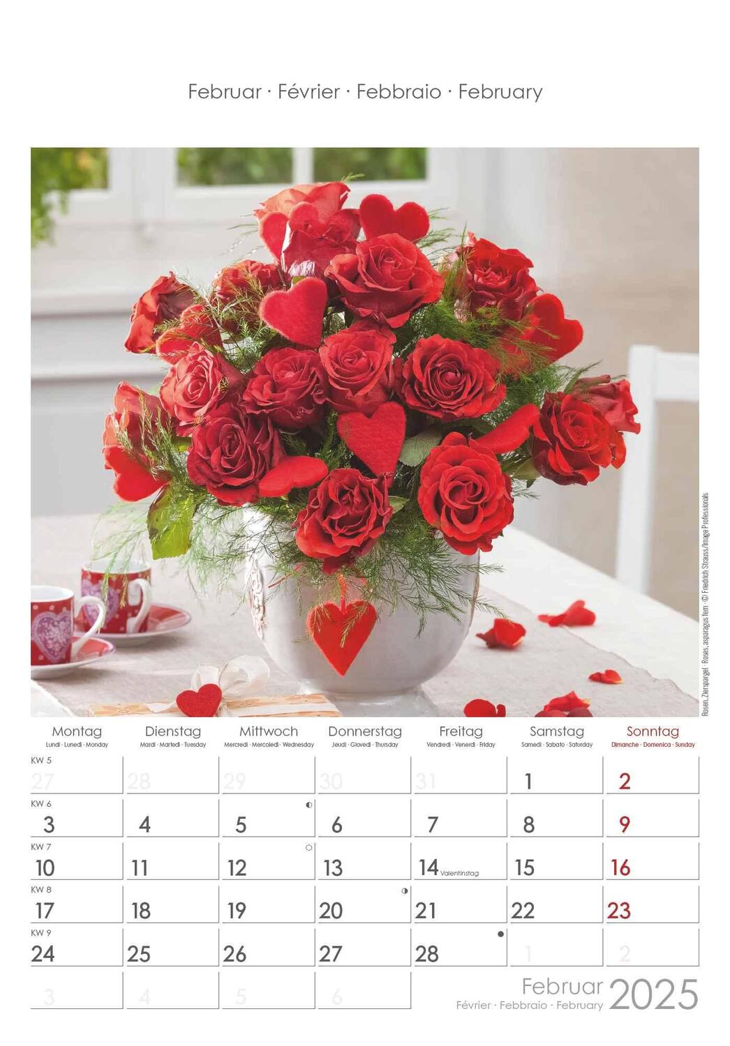 Bild: 4251732341008 | Blumen 2025 - Bildkalender 23,7x34 cm - Kalender mit Platz für...