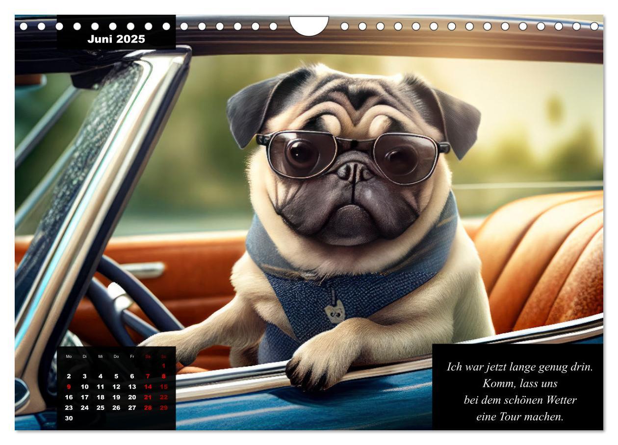 Bild: 9783383919053 | Der humoristische Mops-Kalender (Wandkalender 2025 DIN A4 quer),...