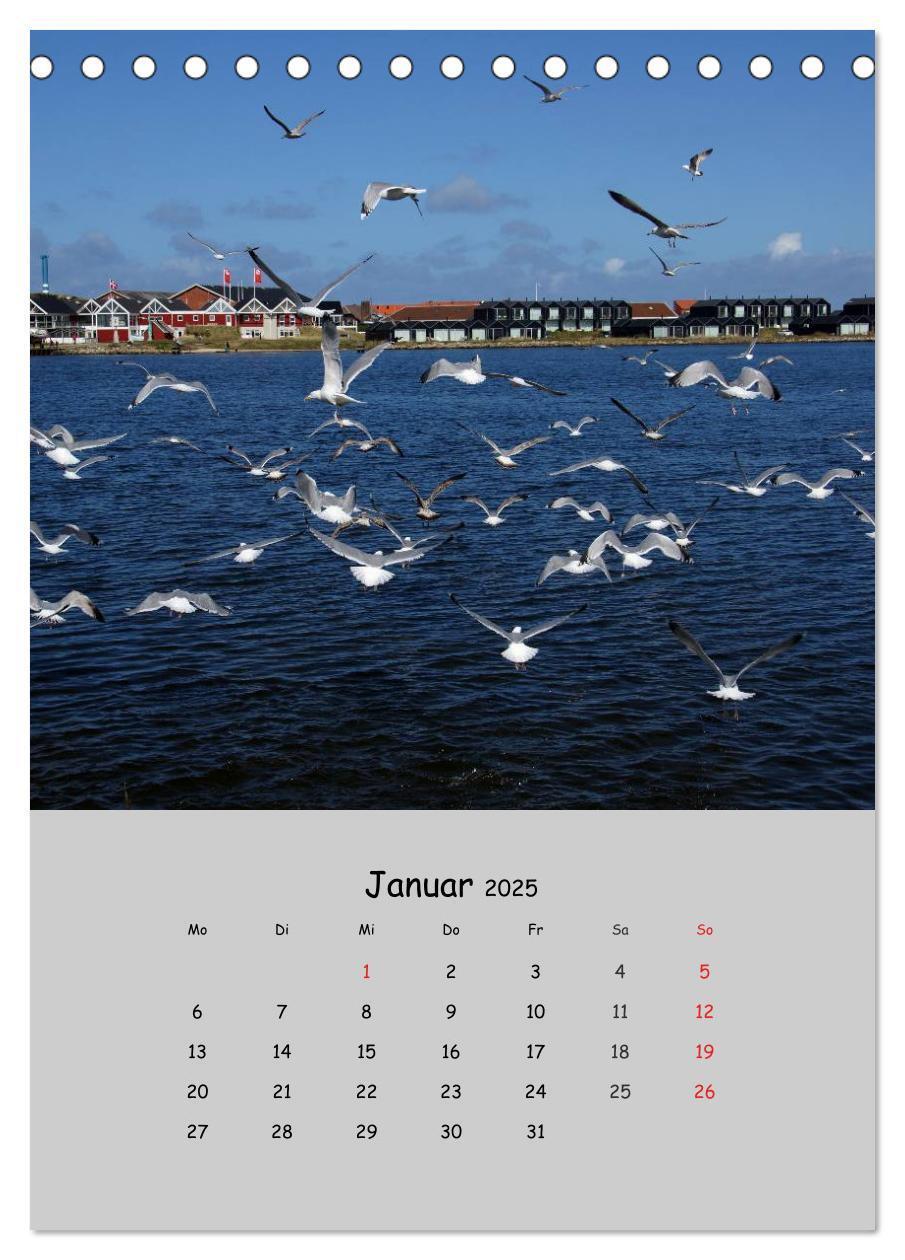 Bild: 9783457006276 | Dänemarks Westküste 2025 (Tischkalender 2025 DIN A5 hoch), CALVENDO...