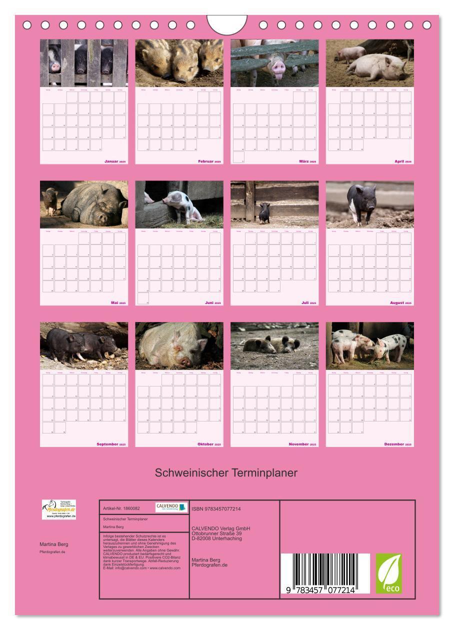 Bild: 9783457077214 | Schweinischer Terminplaner (Wandkalender 2025 DIN A4 hoch),...