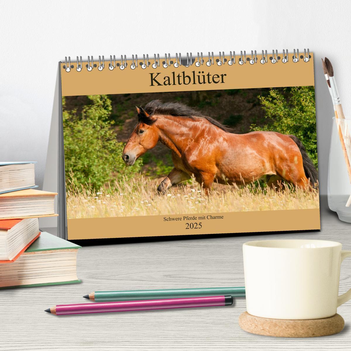 Bild: 9783435269624 | Kaltblüter - Schwere Pferde mit Charme (Tischkalender 2025 DIN A5...