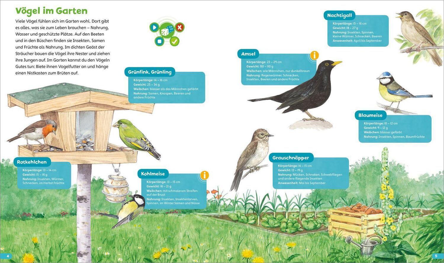 Bild: 9783788675097 | BOOKii® Hören und Staunen Heimische Vögel | Bärbel Oftring | Buch