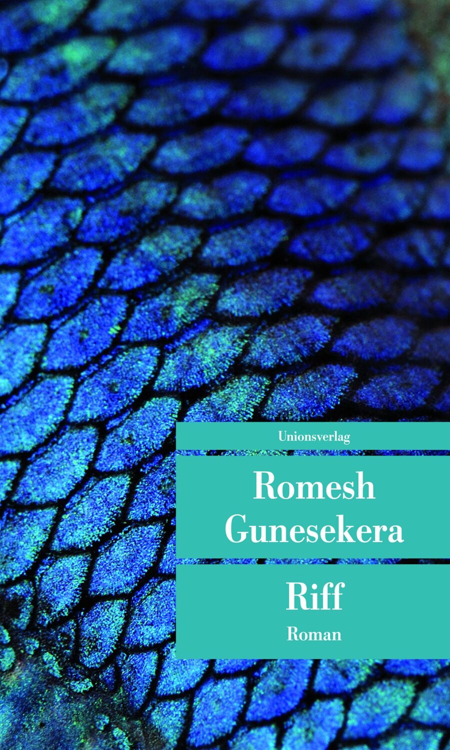 Cover: 9783293207059 | Riff | Romesh Gunesekera | Taschenbuch | 192 S. | Deutsch | 2015