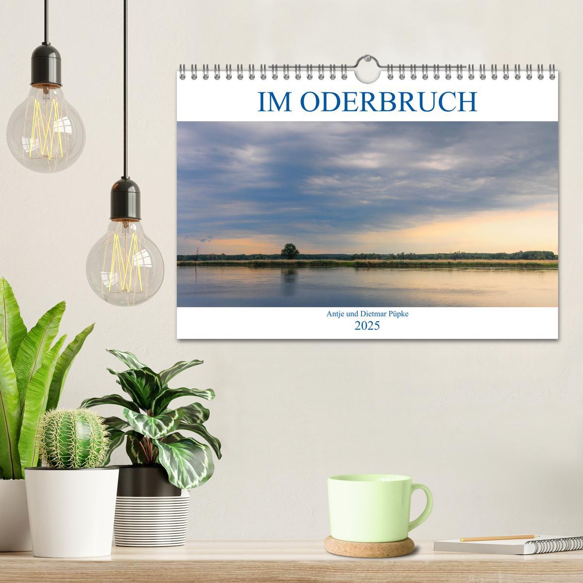 Bild: 9783435221486 | Im Oderbruch (Wandkalender 2025 DIN A4 quer), CALVENDO Monatskalender