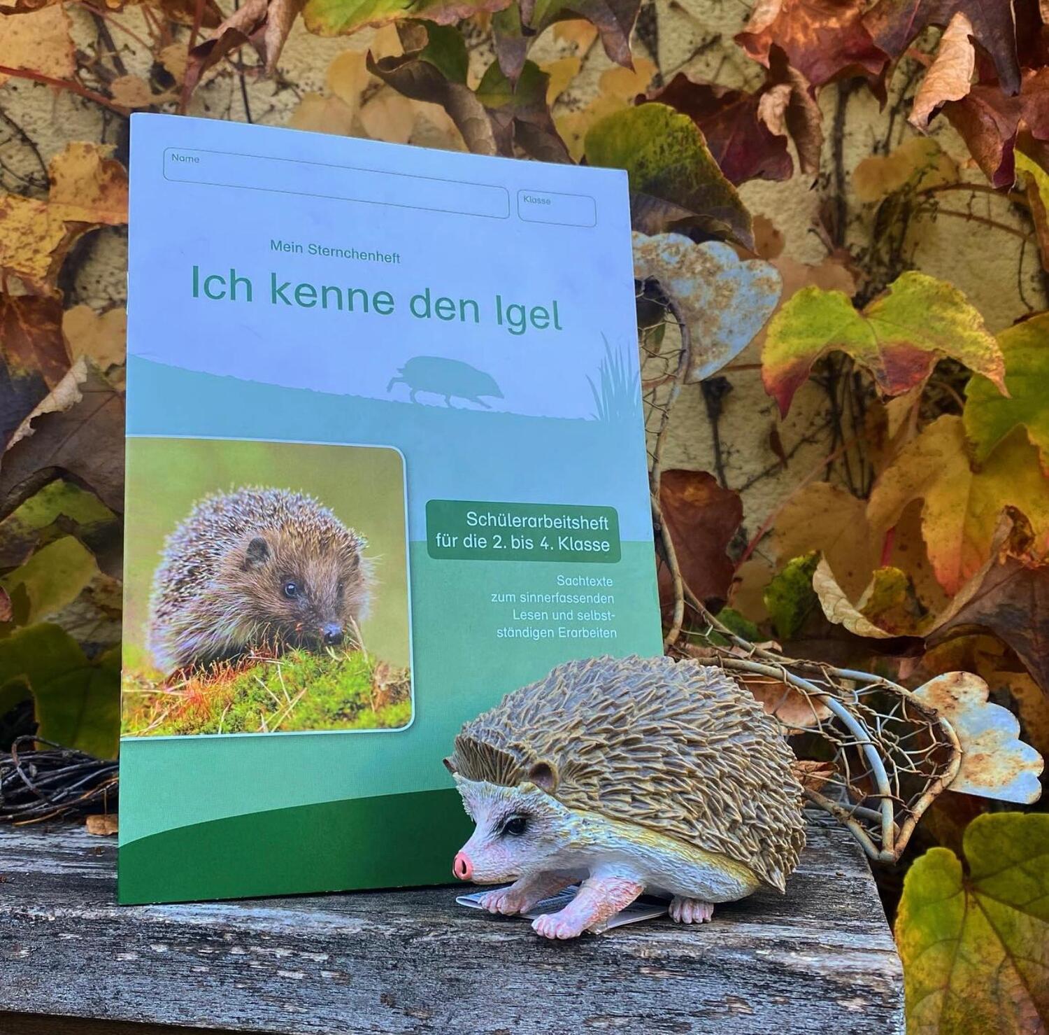 Bild: 9783946904069 | Ich kenne den Igel | Katrin Langhans | Taschenbuch | PAPPE | 19 S.